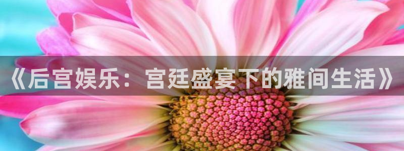 新航娱乐官网：《后宫娱乐：宫廷盛宴下的雅间生活》