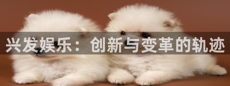 新航娱乐官网：兴发娱乐：创新与变革的轨迹